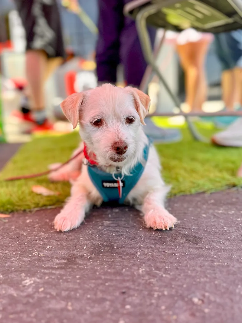 Valerie & Mallory thumbnail 5