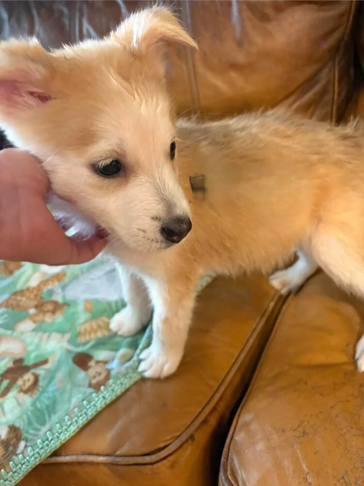 Darla thumbnail 3