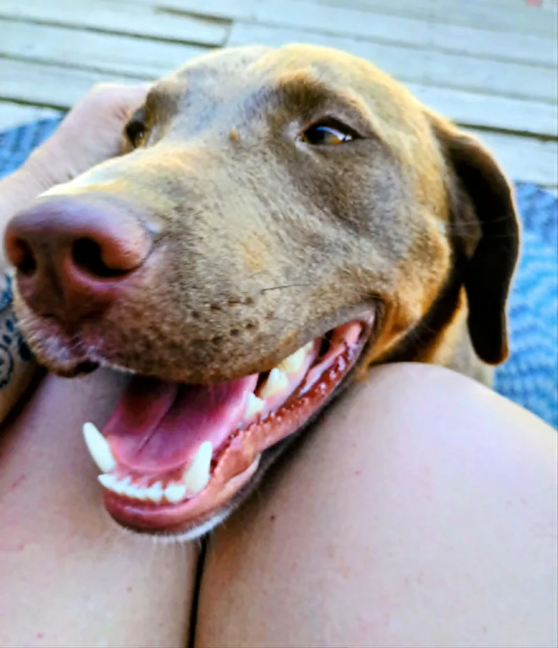 Cooper The Super Trooper thumbnail 2