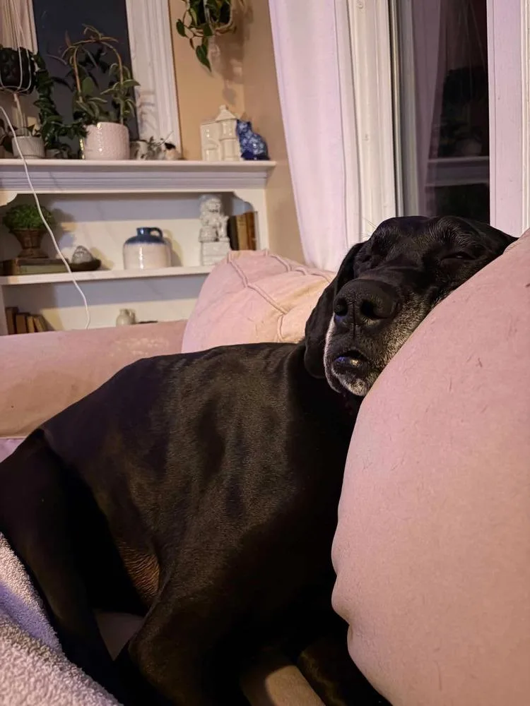 Mavis Aka Gracie
