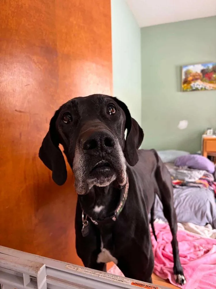 Mavis Aka Gracie thumbnail 2