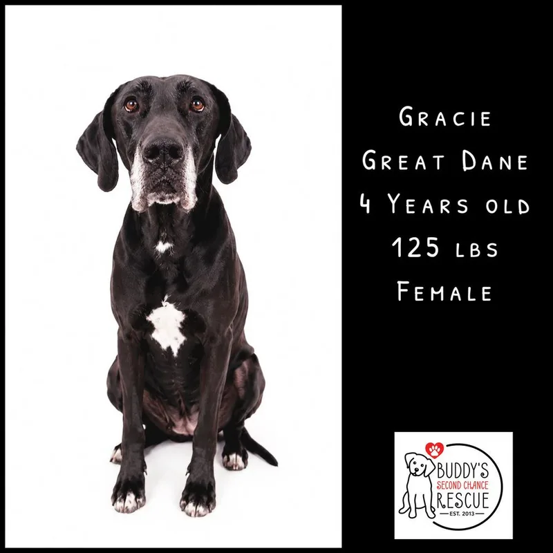 Mavis Aka Gracie thumbnail 5