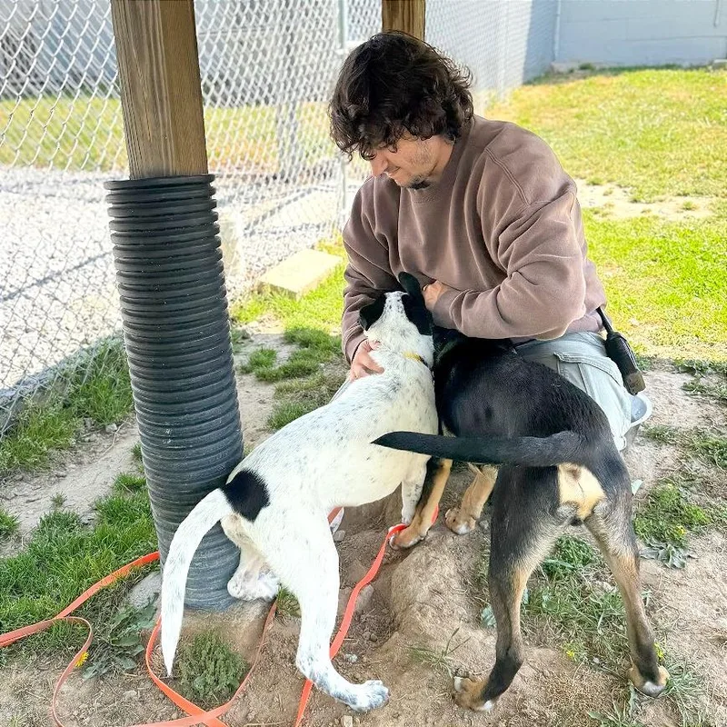 Louie