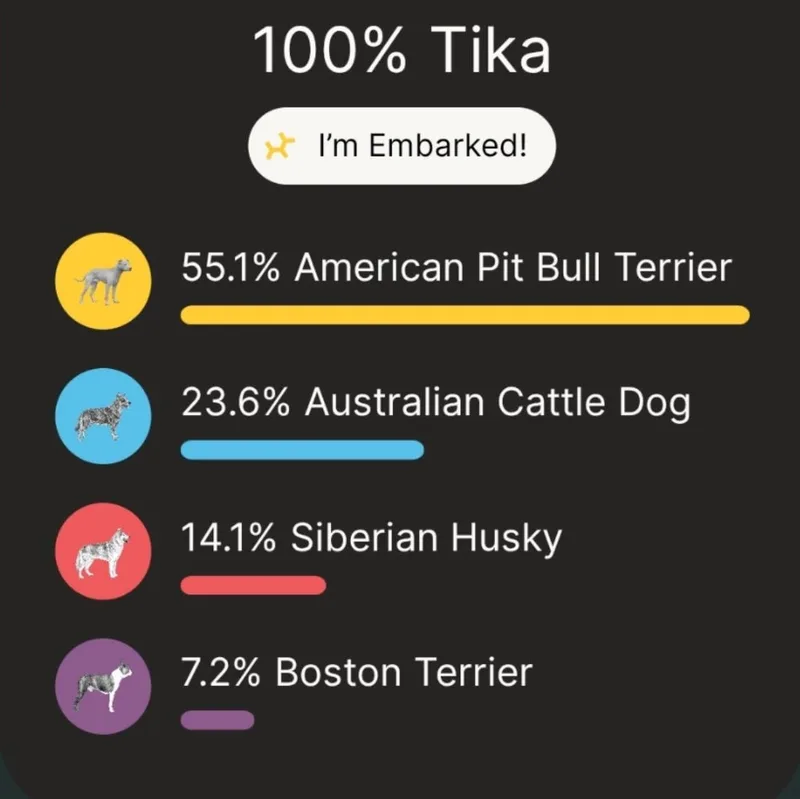 Tika thumbnail 3