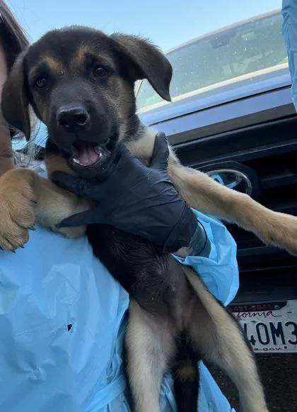 Krypto