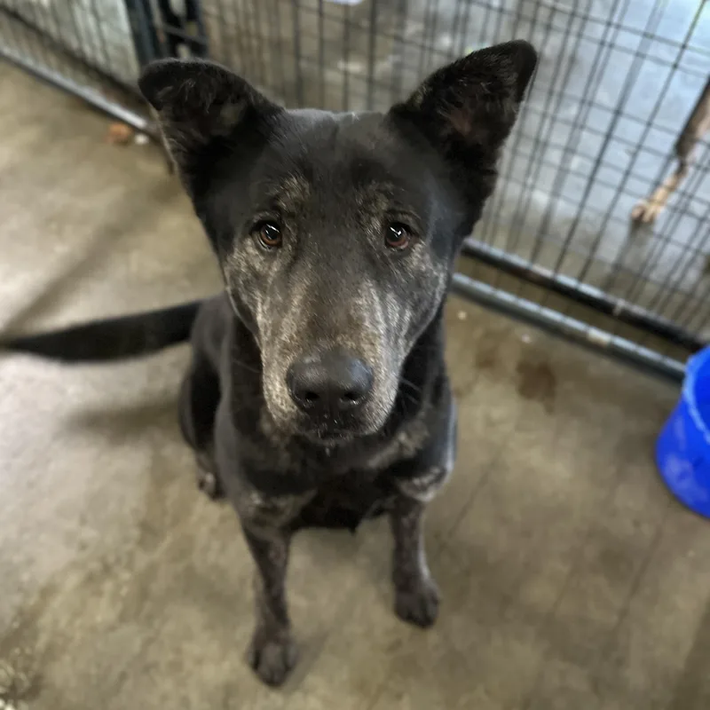 Jeremy Allen White thumbnail 3