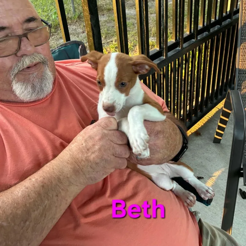 Beth thumbnail 2