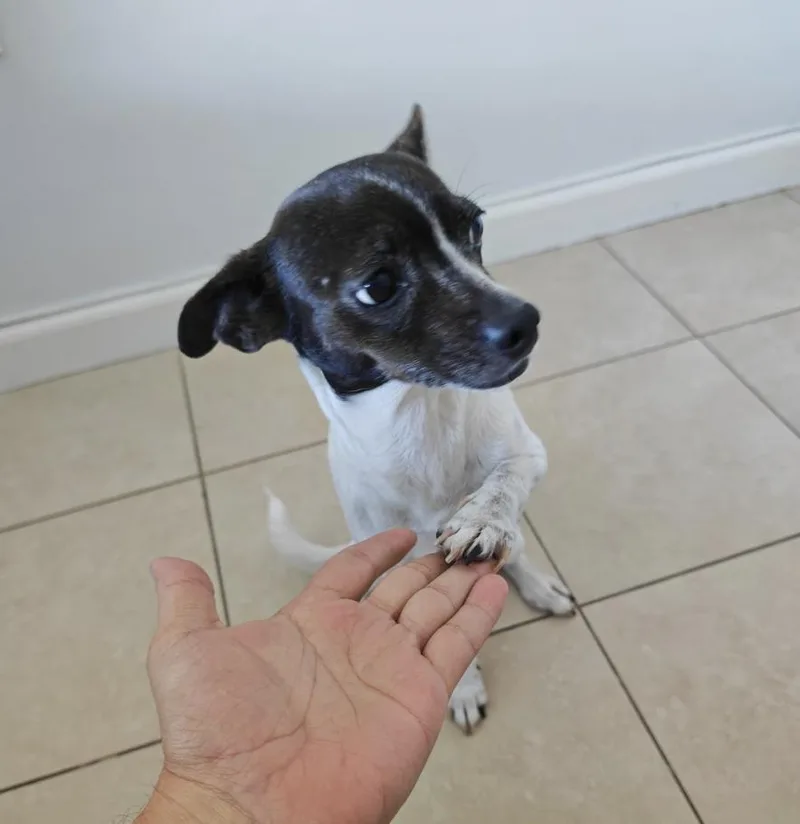 Sasha thumbnail 4
