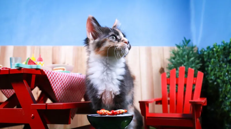 Snickers thumbnail 6