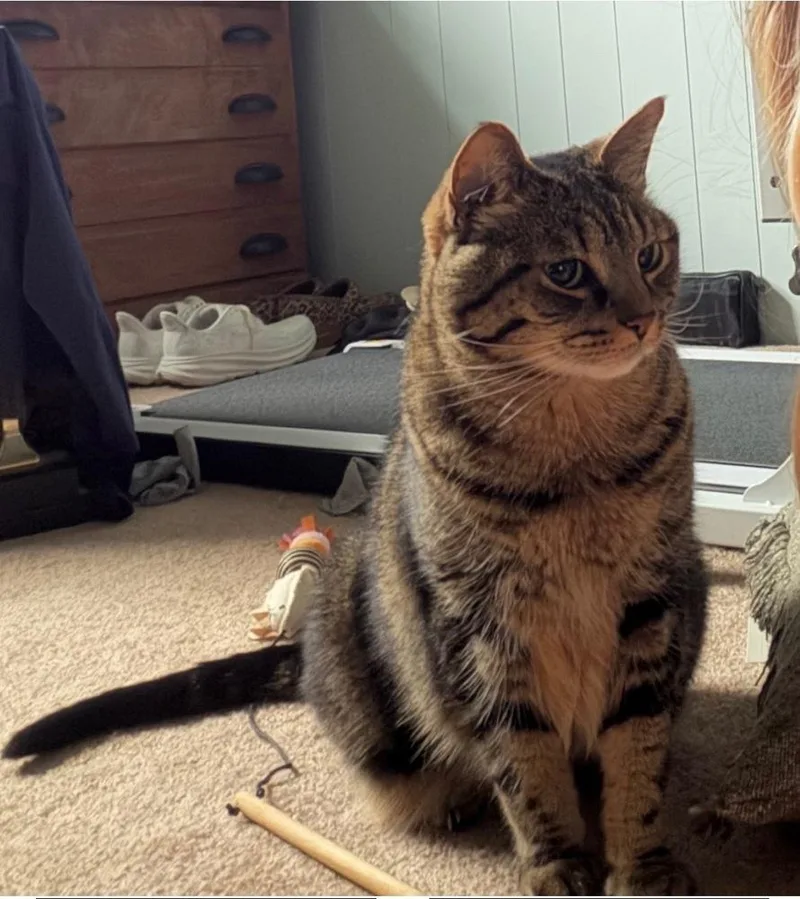Lola thumbnail 2