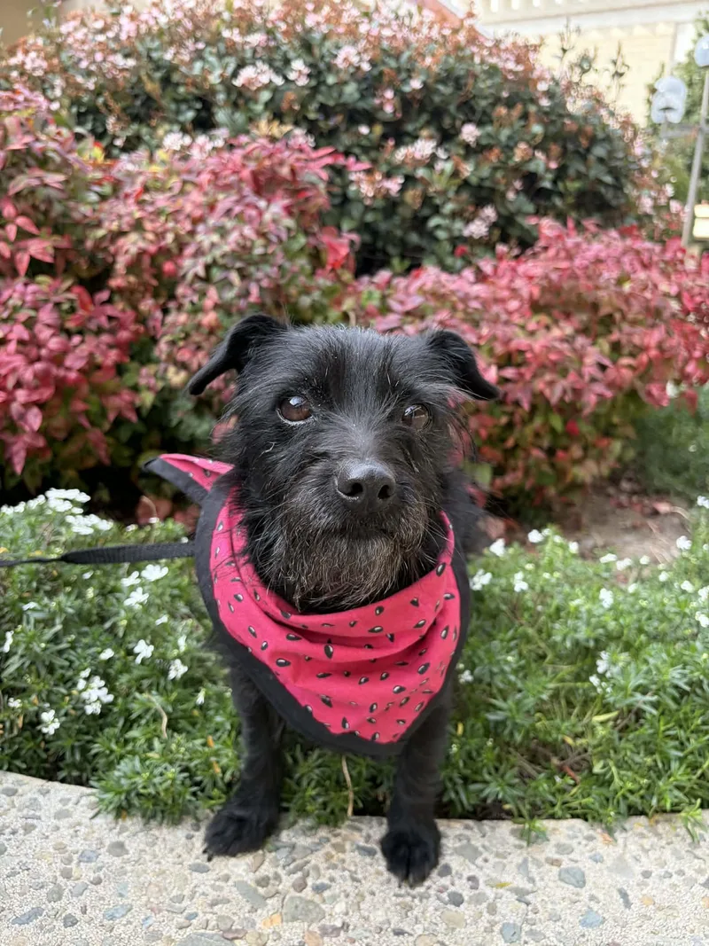 Mammacita thumbnail 2