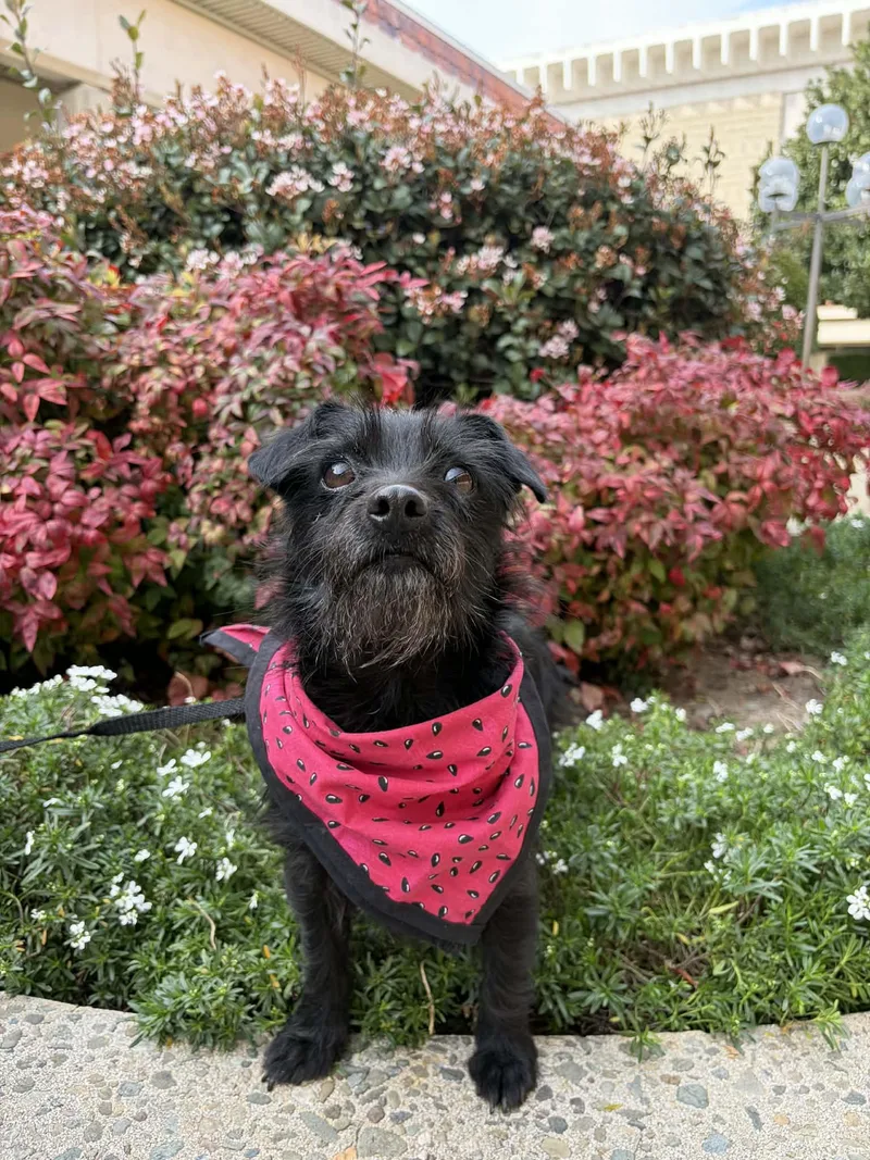 Mammacita thumbnail 3