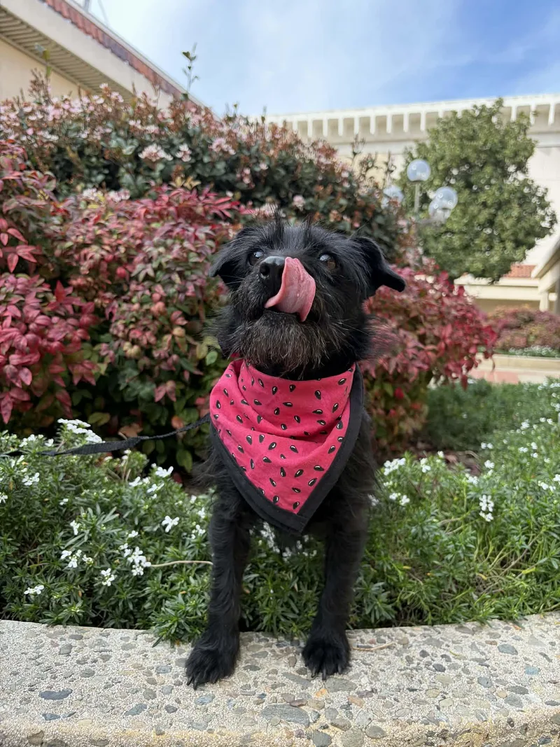 Mammacita thumbnail 4