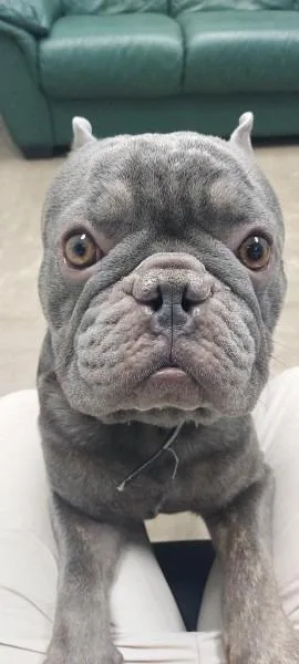 Kobe  PA thumbnail 4