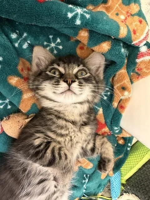 Carl