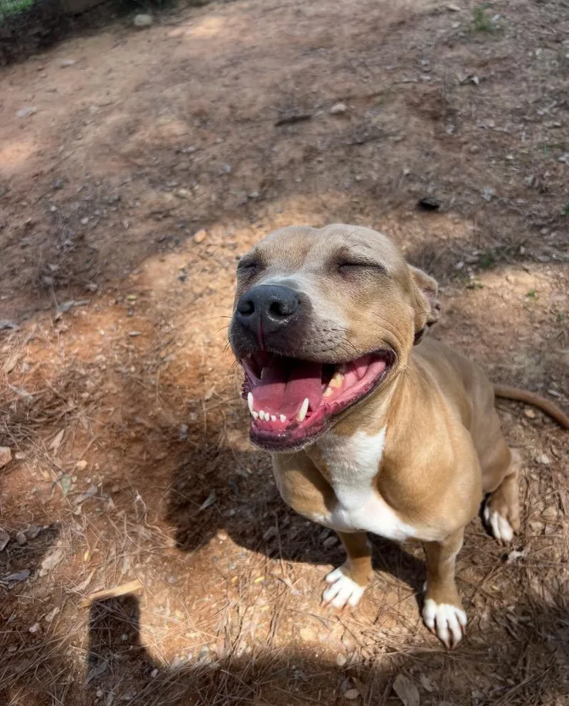 Sunshine thumbnail 2