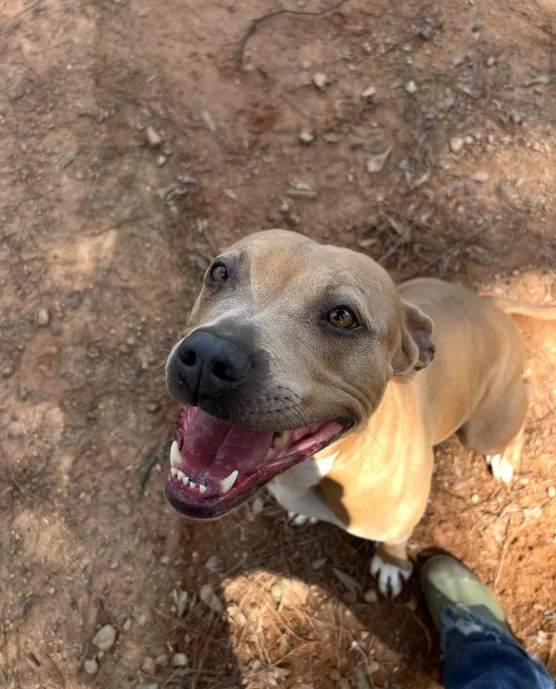 Sunshine thumbnail 3