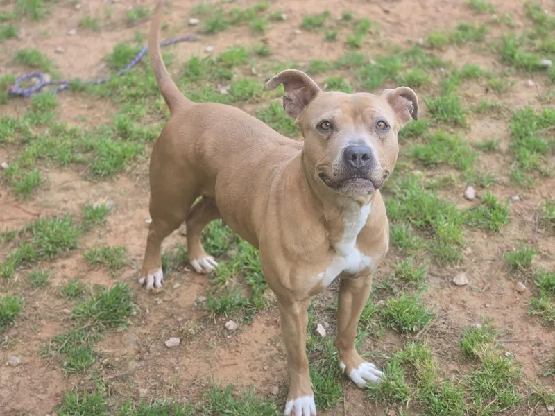 Sunshine thumbnail 4