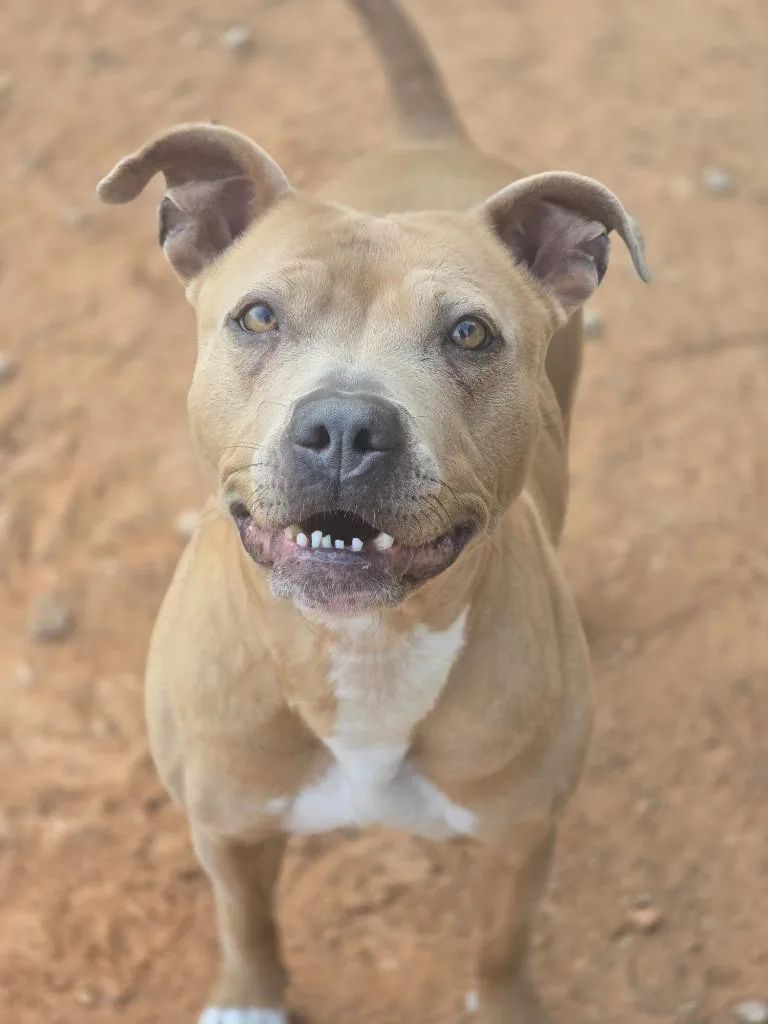 Sunshine thumbnail 5