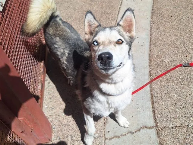 Luna