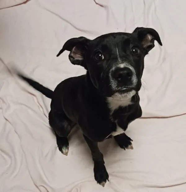 Jax