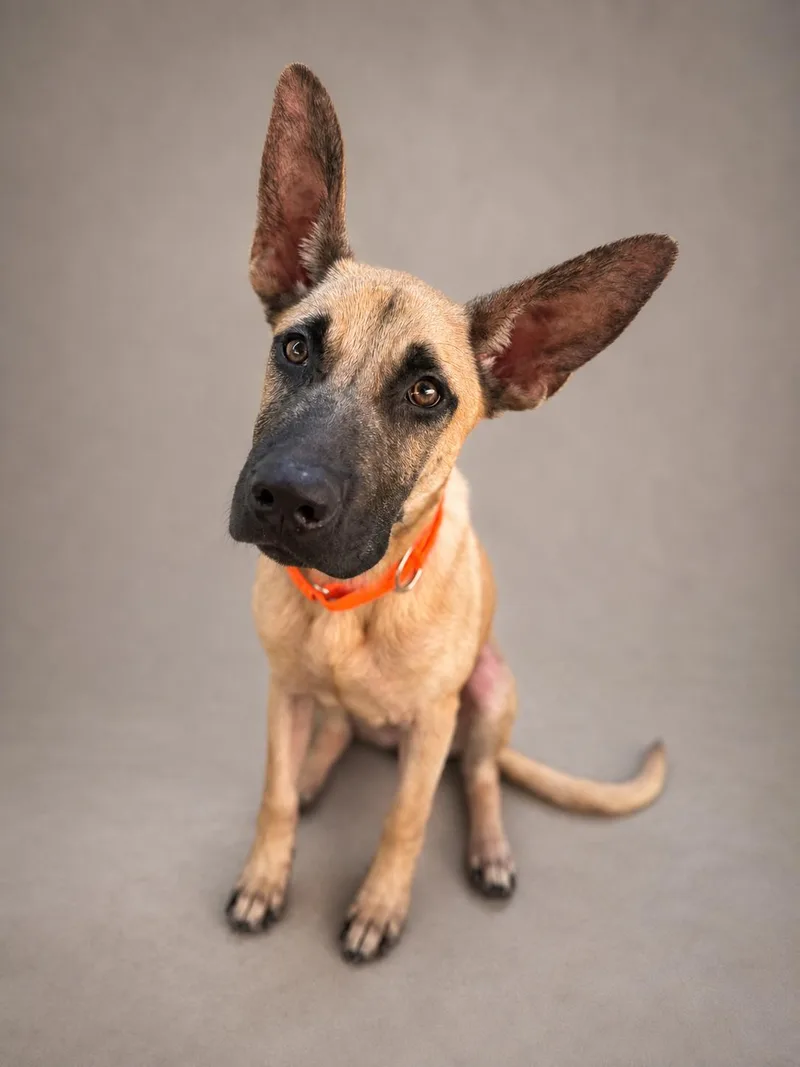 Axel