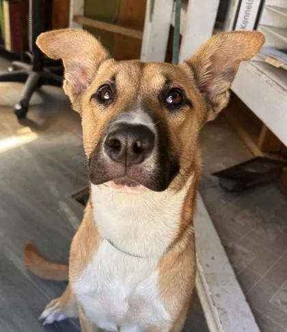 Max