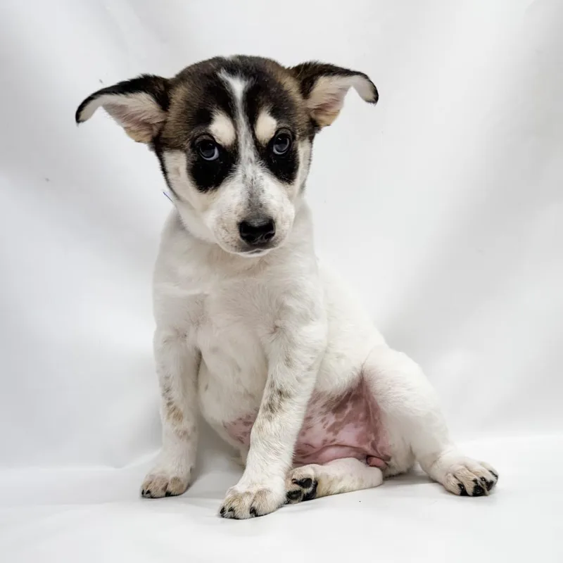 Jennifer thumbnail 6