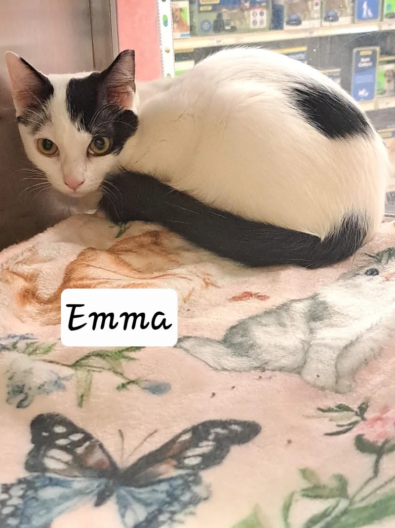 Emma thumbnail 2
