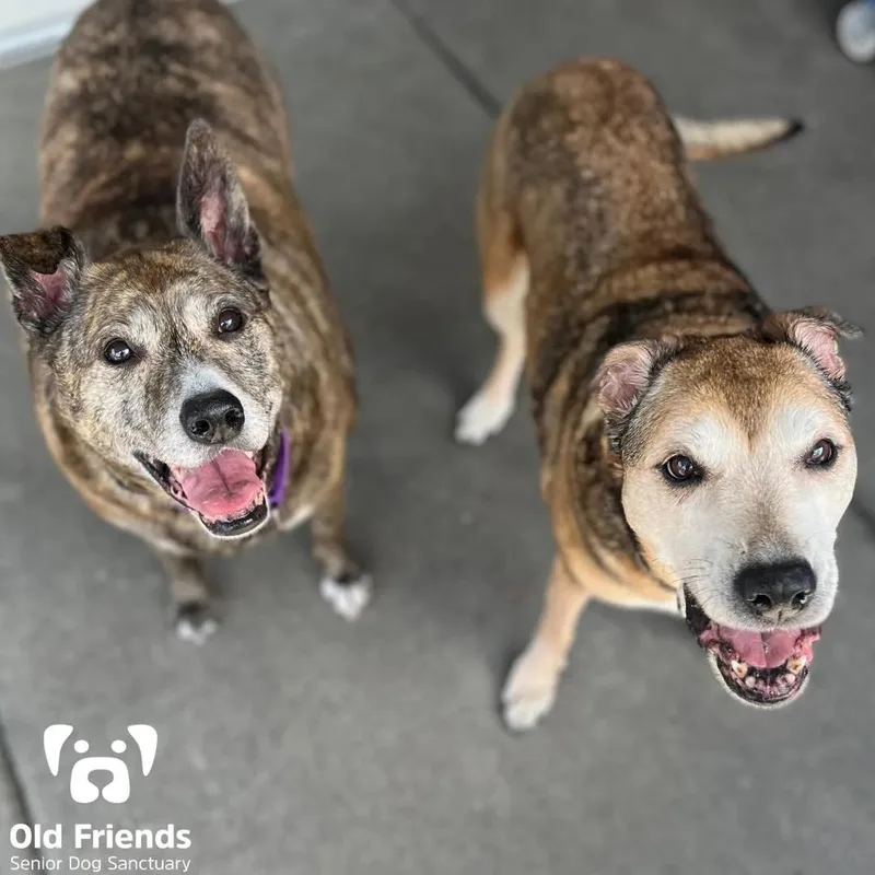 Katie & Cindy thumbnail 2