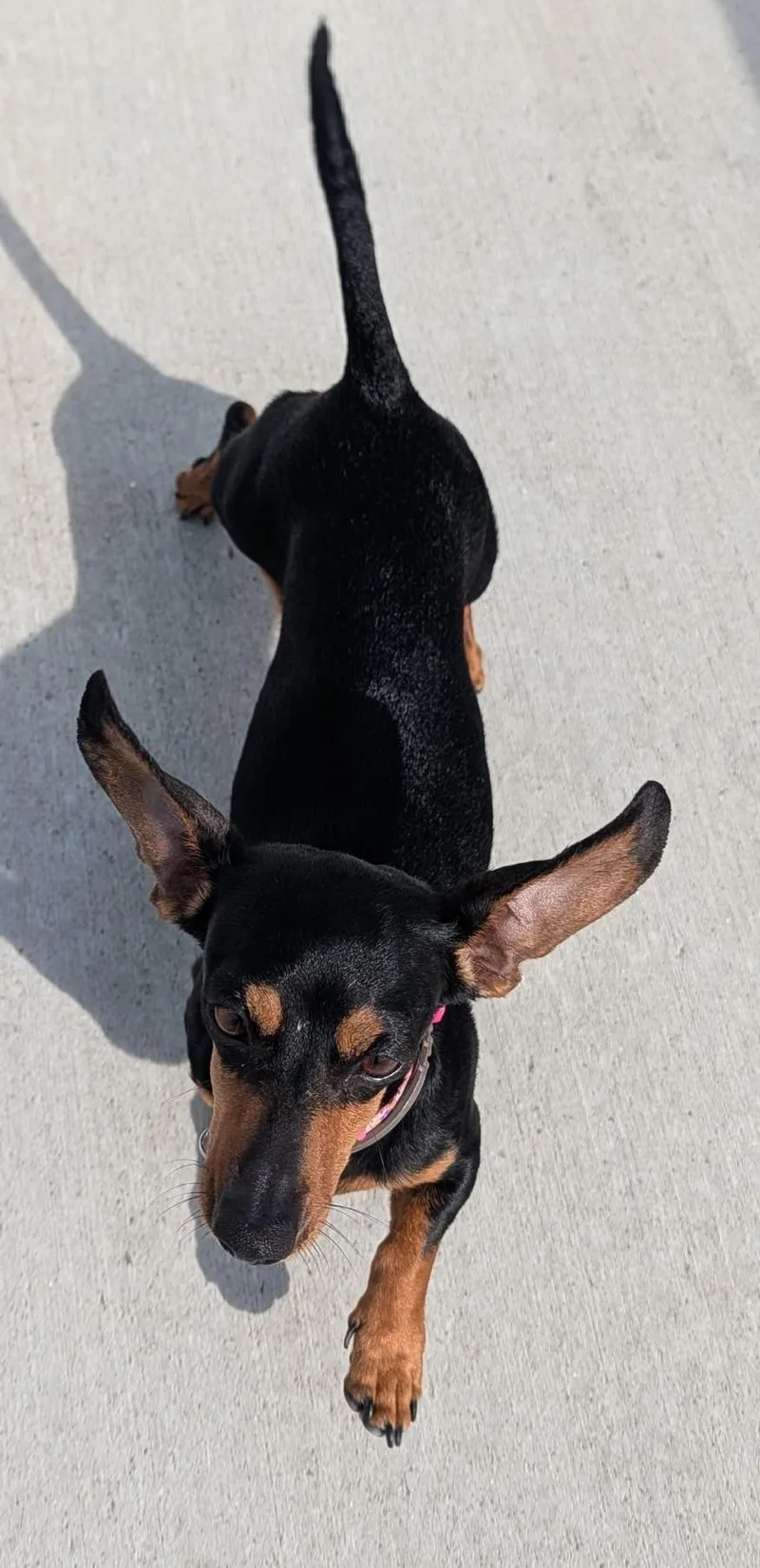 Gemma In Wi thumbnail 3