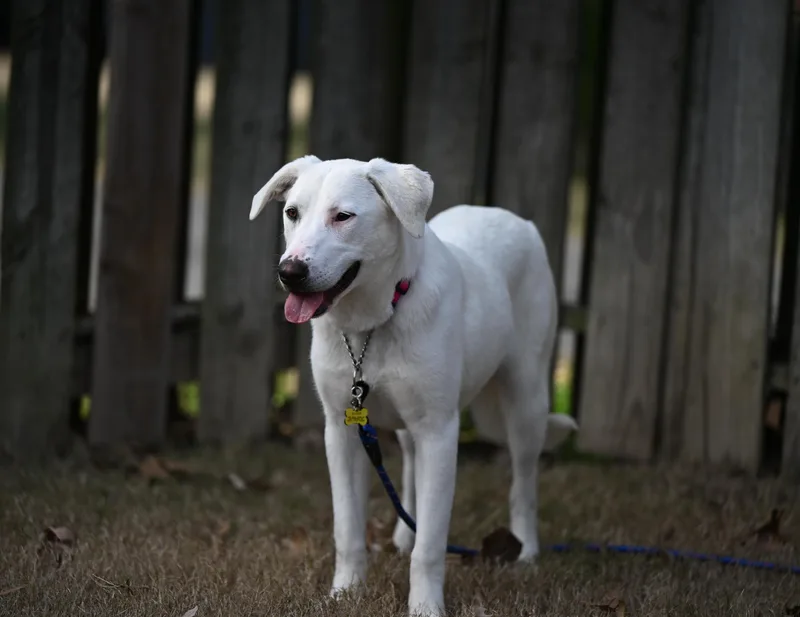 Marcie Jane thumbnail 2