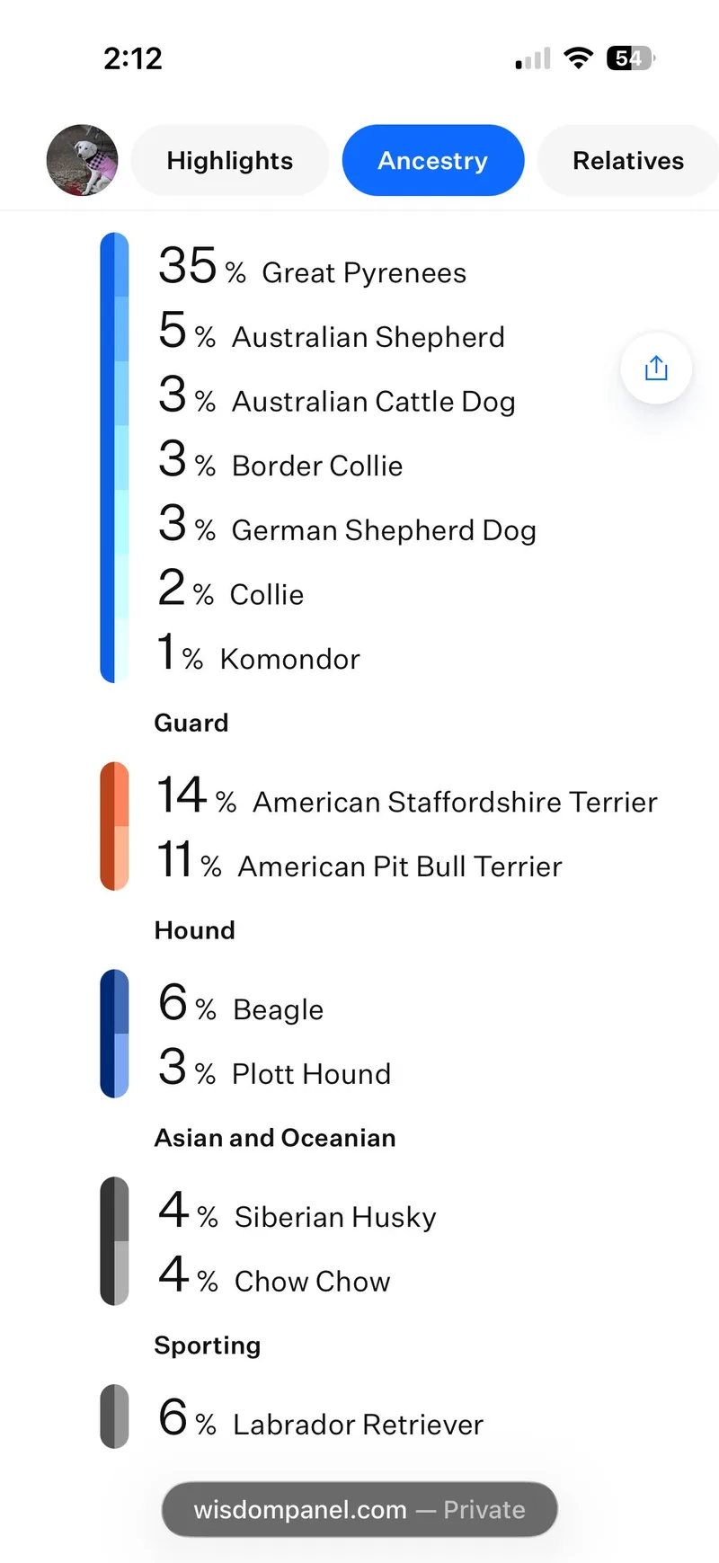 Marcie Jane thumbnail 6