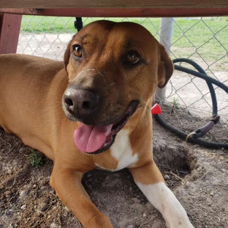 Jenni Rivera thumbnail 2