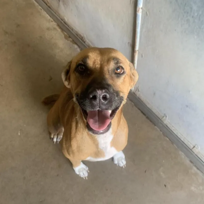 Jenni Rivera thumbnail 4