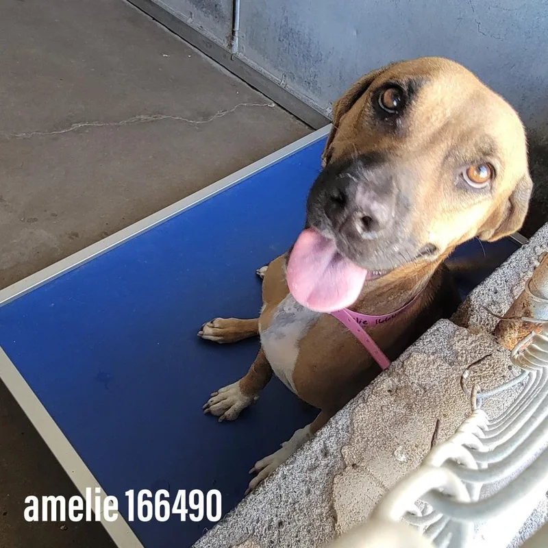 Jenni Rivera thumbnail 5