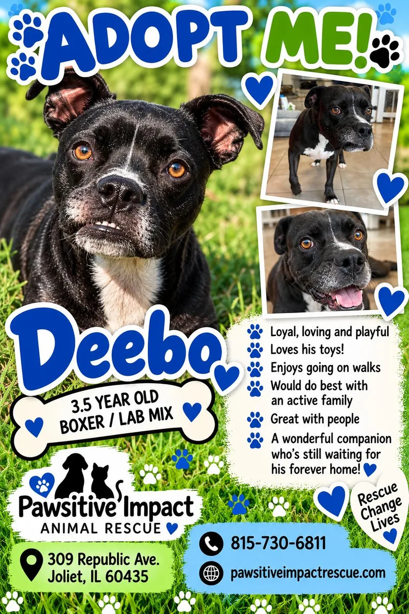 Deebo thumbnail 2