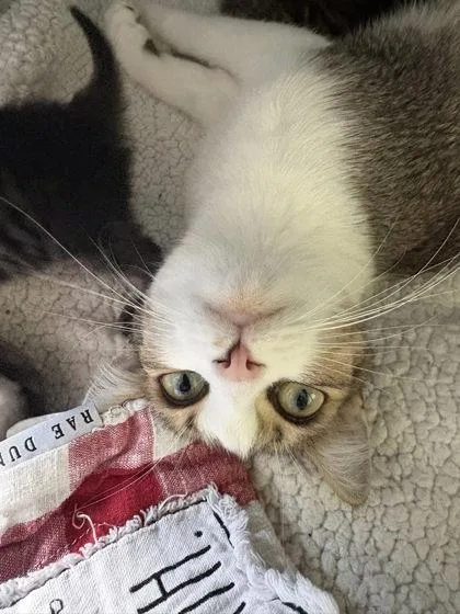 Mama Mimi