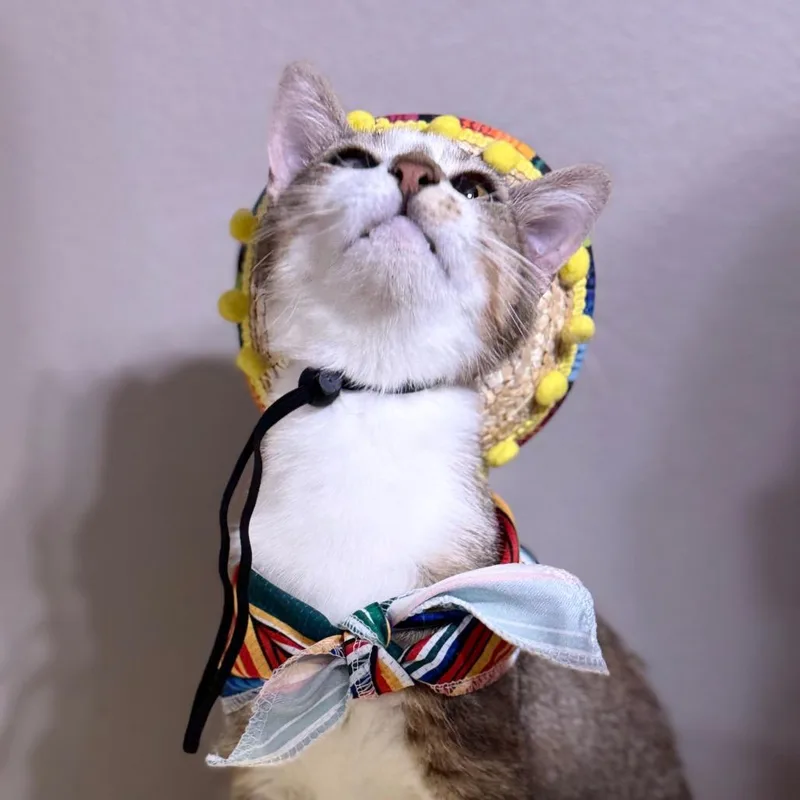 Cocokota thumbnail 2