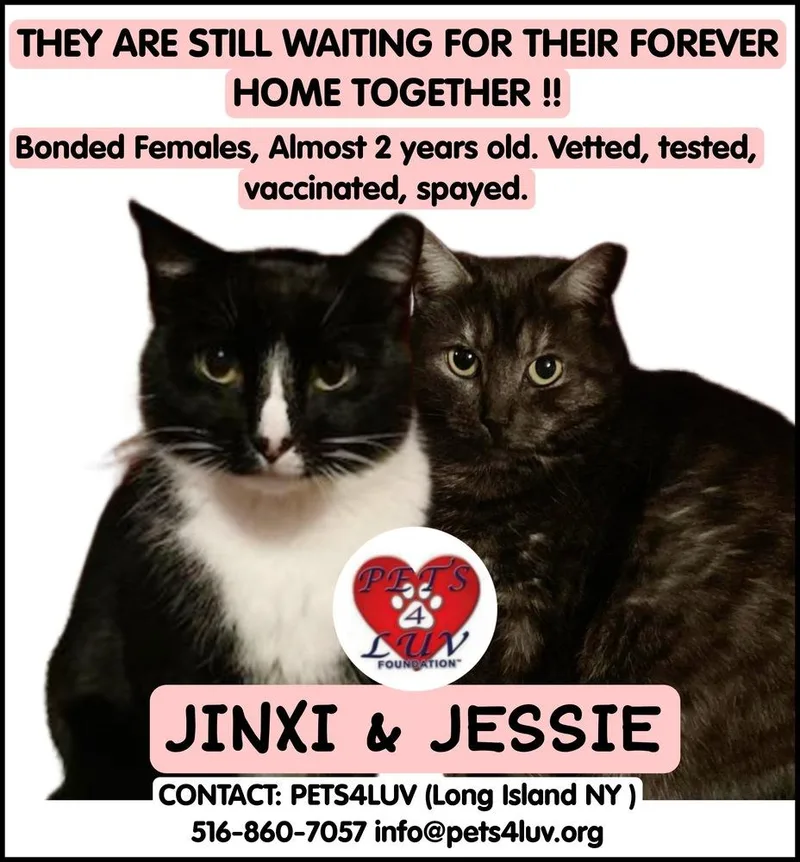 Jessie Mineola thumbnail 3