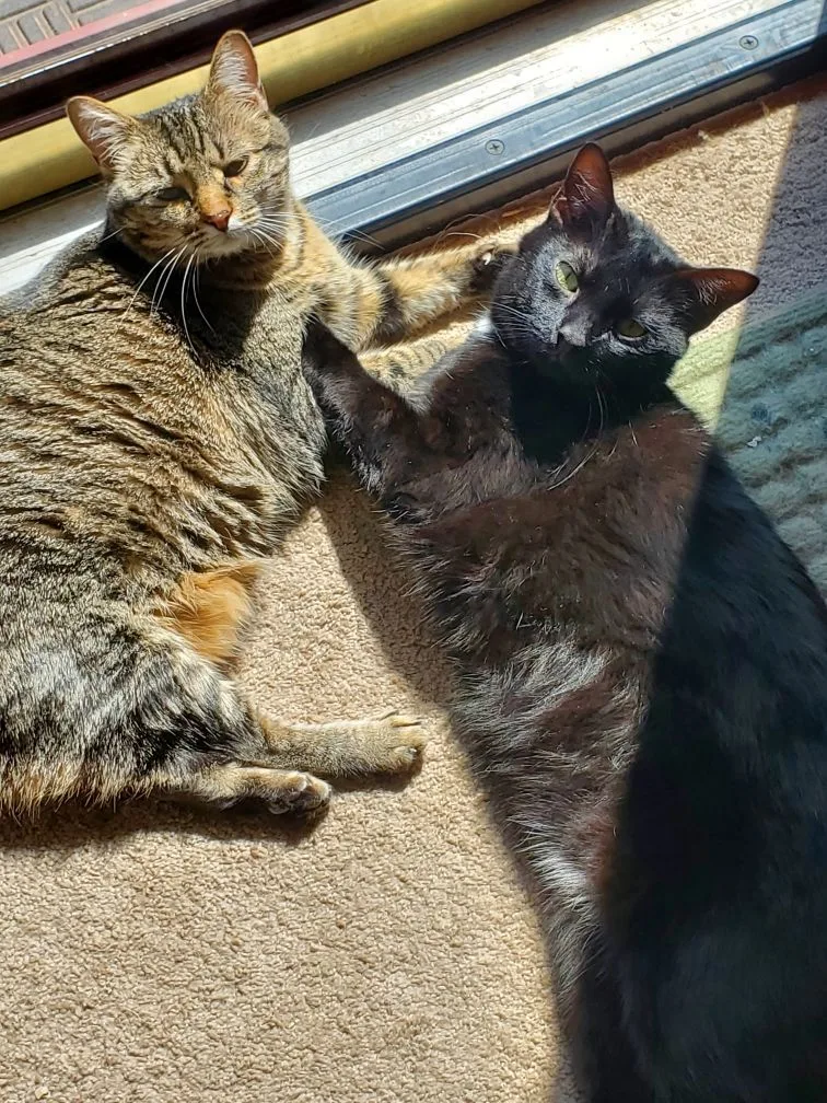 Jinx And Waldorf thumbnail 2