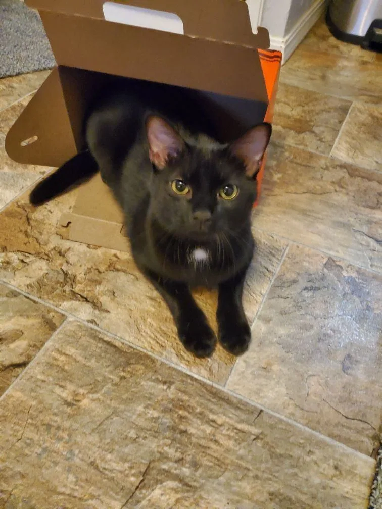 Jinx And Waldorf thumbnail 4