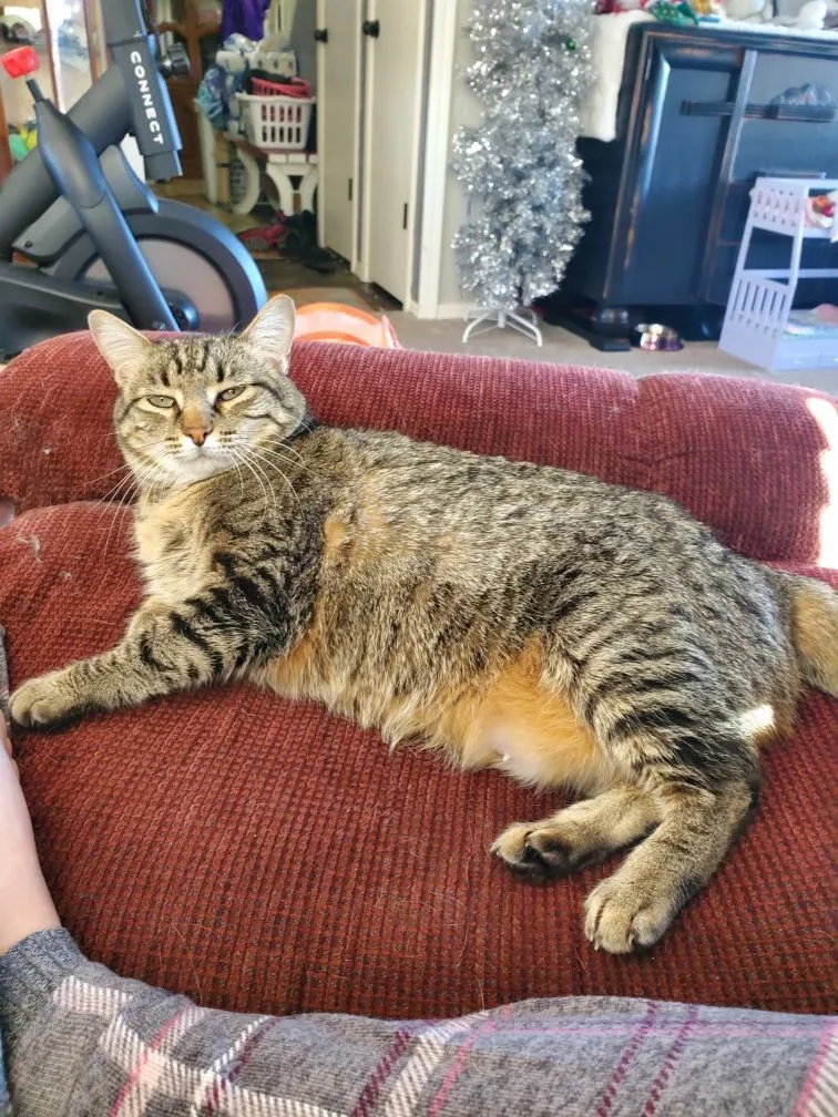 Jinx And Waldorf thumbnail 5