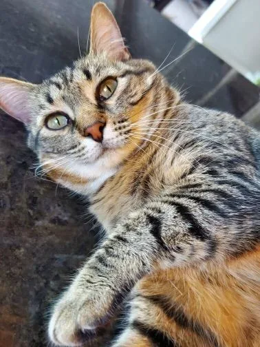 Jinx And Waldorf thumbnail 6