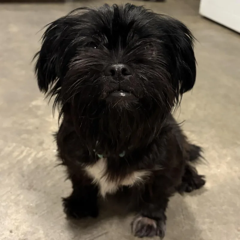 Pepper thumbnail 2