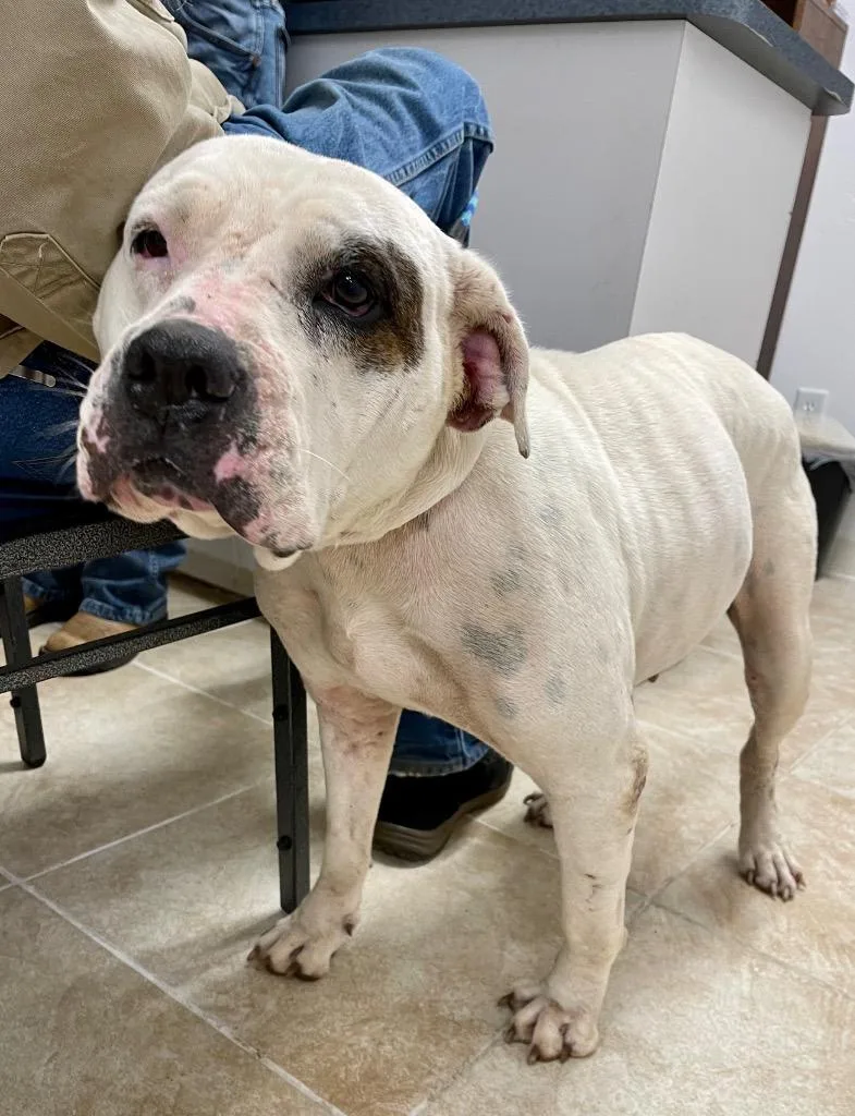 Lady Luck thumbnail 2