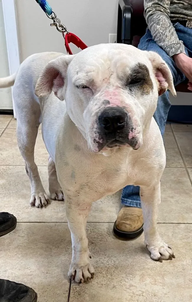 Lady Luck thumbnail 3