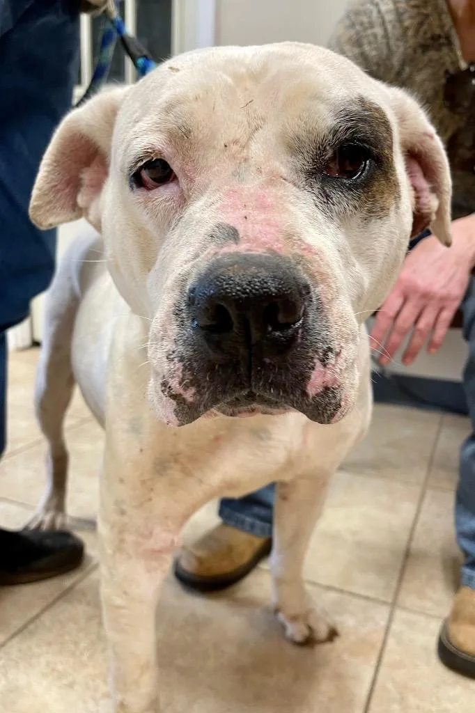 Lady Luck thumbnail 5