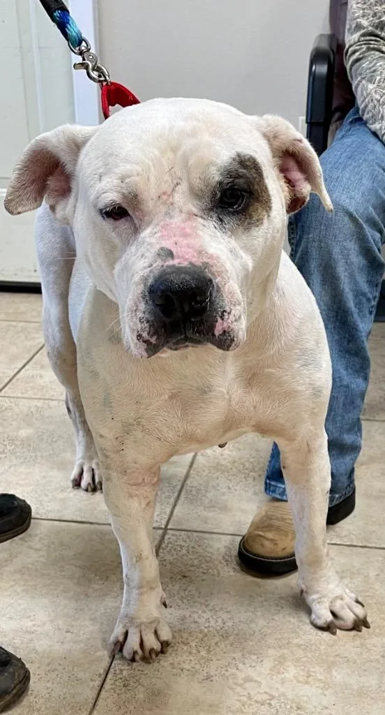 Lady Luck thumbnail 6