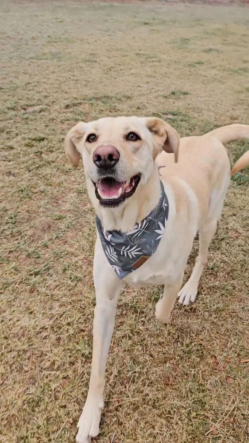 Milo Raphie thumbnail 3